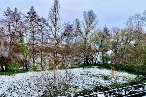 Hainburg River View Near Frankfurt -- 3 Zimmer -- 4 Betten Und 1 Groesse Schlafcouch מראה חיצוני תמונה